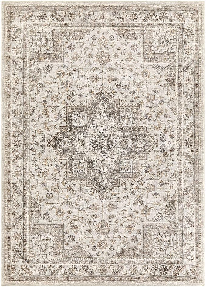 Vintage Living Room Area Rug 5x7 - Image 9