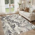 DMOYEST 5x7 Washable Area Rug for Living Room, Non Slip Abstract Rugs, Modern by DMOYEST