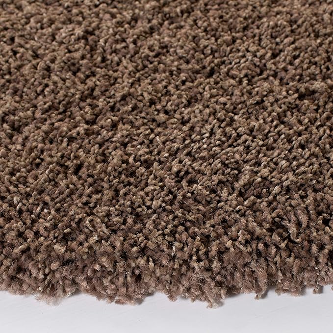 SAFAVIEH Area Rug 3x5 - Image 6