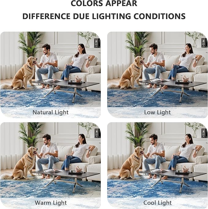 8x10 Rugs for Living Room - Image 7