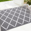 Finchitty Indoor Door Mat, Dirt Resistant and Absorbent, Low-Profile, Washable by Finchitty