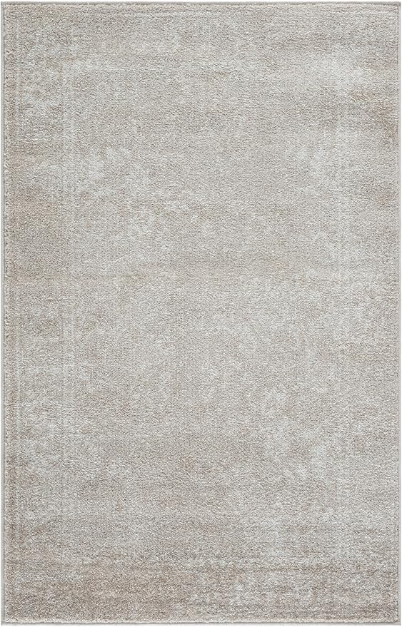 SAFAVIEH Accent Rug 3x5 by Unknown