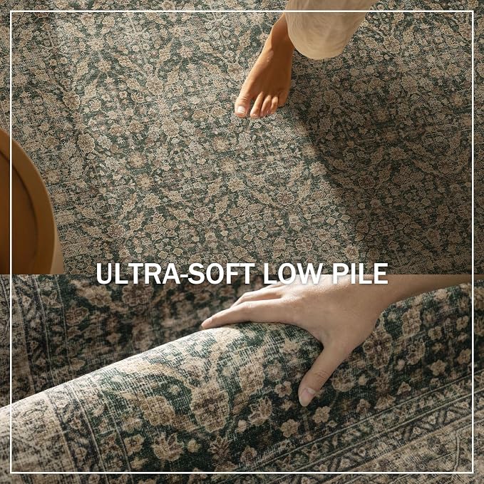 Machine Washable Rugs for Living Room: 5x7 Area Rugs Boho Vintage Rugs Stain - Image 5