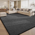 Sour Lemon 9x12 Area Rugs for Living Room, Soft Large Area Rug Fluffy Rugs for by SourLemon