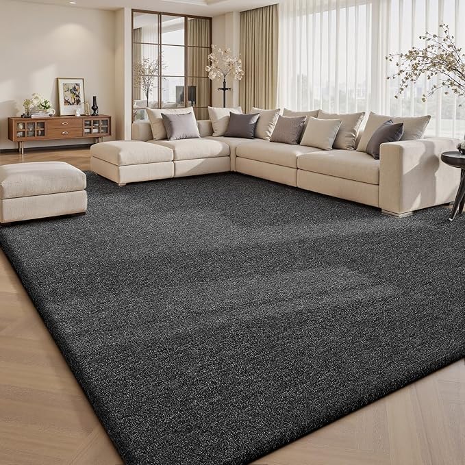 Sour Lemon 9x12 Area Rugs for Living Room, Soft Large Area Rug Fluffy Rugs for by SourLemon