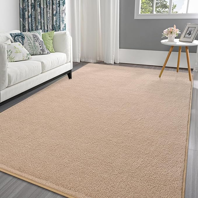Pettop 4x6 ft Beige Area Rugs for Bedroom Living Room, Washable Memory Foam by Pettop