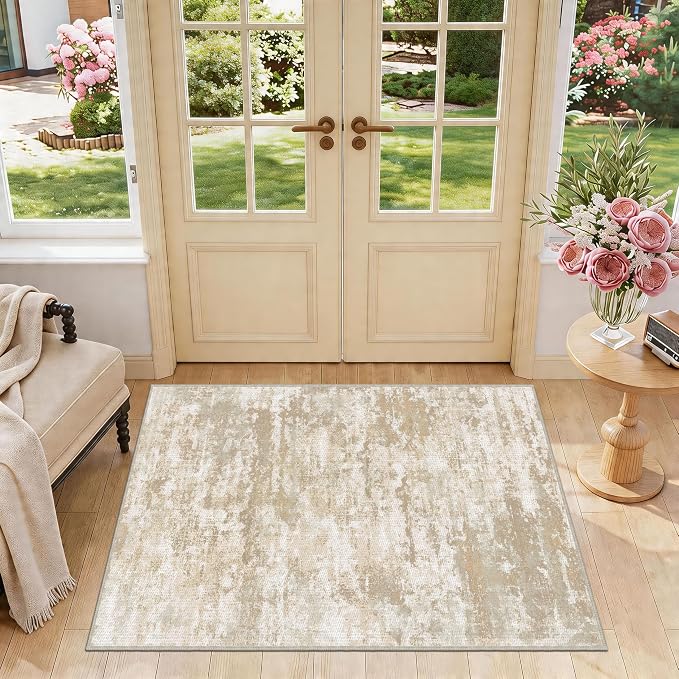 3x5 Area Rug Washable Entryway Rug Non Slip Abstract Tear and Stain Resistance by TTelephant