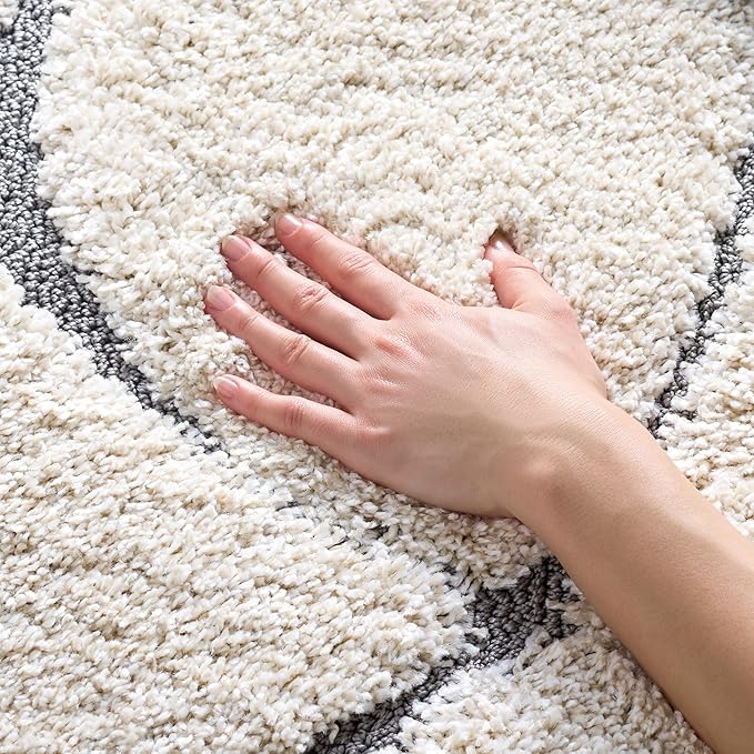 SAFAVIEH Florida Shag Collection Accent Rug by Unknown