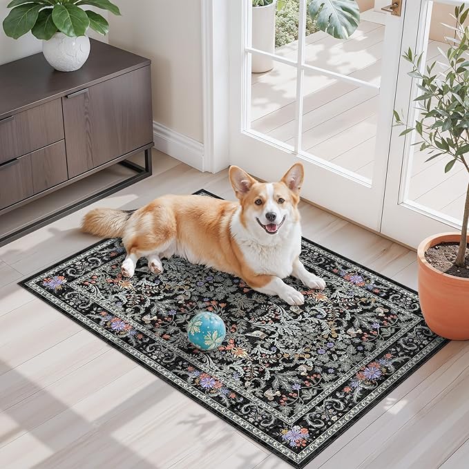 2x3 Entryway Rug Washable Non-Slip by ZHXXUJ