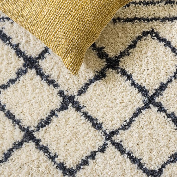 SAFAVIEH Area Rug 10x14 - Image 7