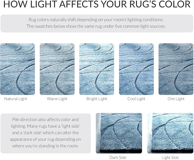SAFAVIEH Florida Shag Collection Area Rug - Image 9