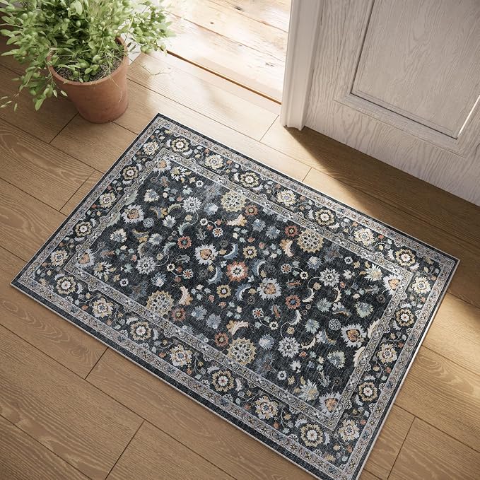 Washable Small Area Rugs for Kitchen: Door Mat Indoor Entrance 2x3 Throw Rug by palohom