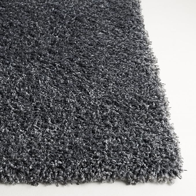 SAFAVIEH Area Rug 3x5 - Image 4