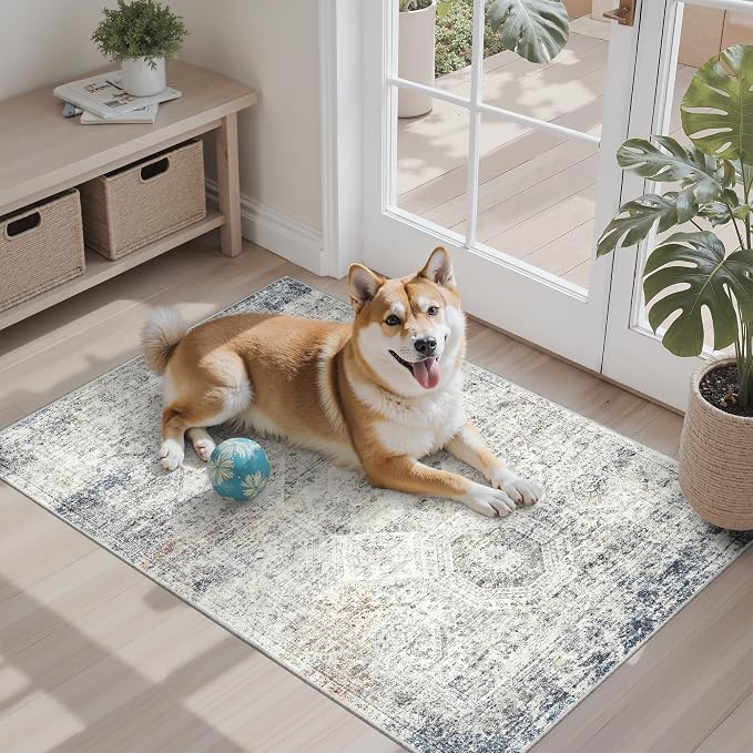Soalmost 2x3 Washable Rugs for Kitchen, Powder Room Small Area Rug Non-Slip - Image 2