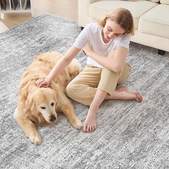 DMOYEST Area Rug Living Room Rugs - Image 5