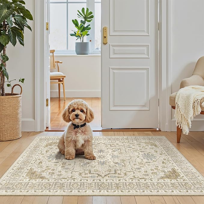 Madane Washable Area Rug 2x3, Small Entryway Rug Non-Slip Vintage Door Mat by Madane