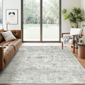 Soalmost 6x9 Area Rug for Living Room Floral Washable Non-Slip Gray Rugs for by Soalmost