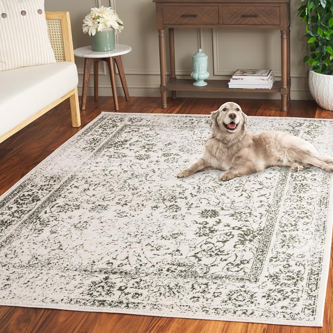 SAFAVIEH Adirondack Collection Area Rug - Image 9