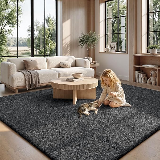 Sour Lemon 8x10 Area Rugs for Living Room, Soft Large Area Rug Fluffy Rugs for - Image 9