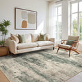 BEIMO Area Rugs 5x8 for Living Room Bedroom, Modern Abstract Machine Washable by BEIMO