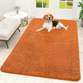 OLANLY Dog Door Mat for Muddy Paws 59x35, Absorbs Moisture and Dirt, Absorbent by OLANLY