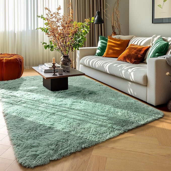 PAGISOFE Sage Green Rugs for Bedroom, 3x5 Ft Shaggy Rug Plush Fuzzy Carpet for by PAGISOFE