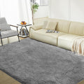 Ultra Soft Rug for Living Room, 4X6 Fluffy Shag Area Rug for Bedroom, Modern by Fairblink