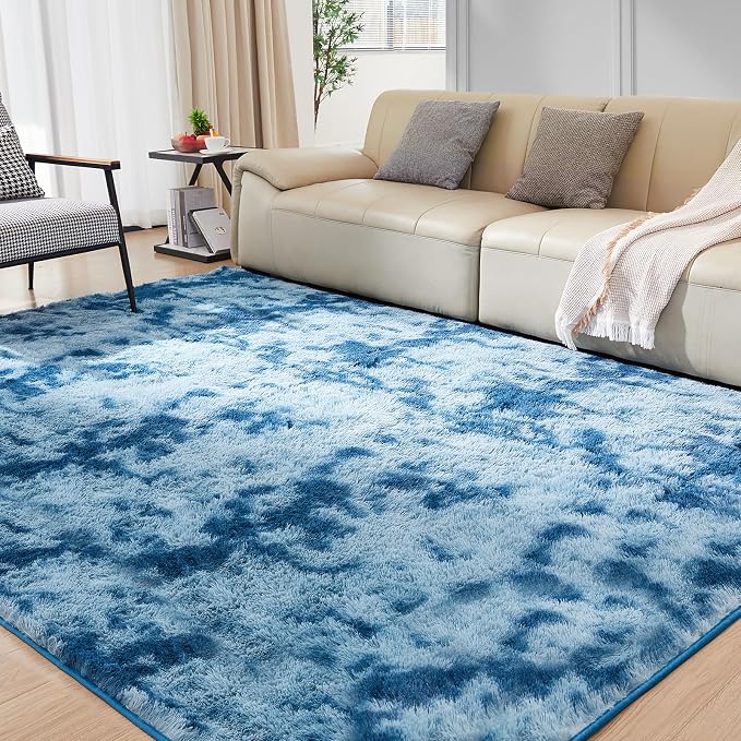 Ultra Soft Rug for Living Room, 6X9 Fluffy Shag Area Rug for Bedroom, Modern by Fairblink