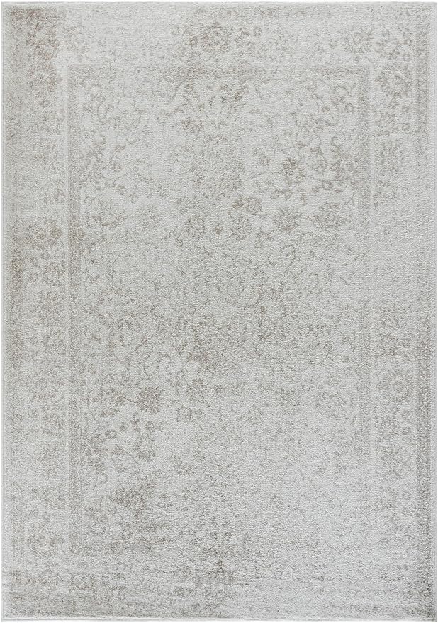 SAFAVIEH Area Rug 6x9 - Image 2