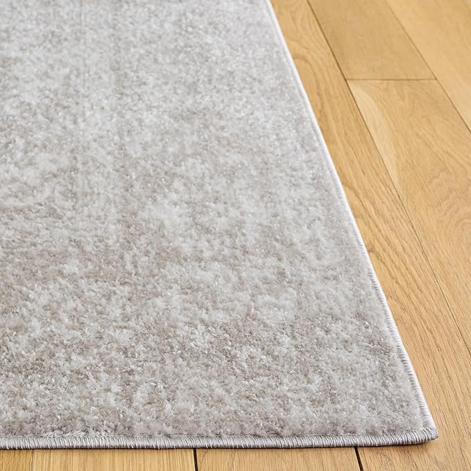 SAFAVIEH Area Rug 4x6 - Image 3