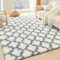 Litanika 8x10 Geometric Shag Area Rug by Litanika