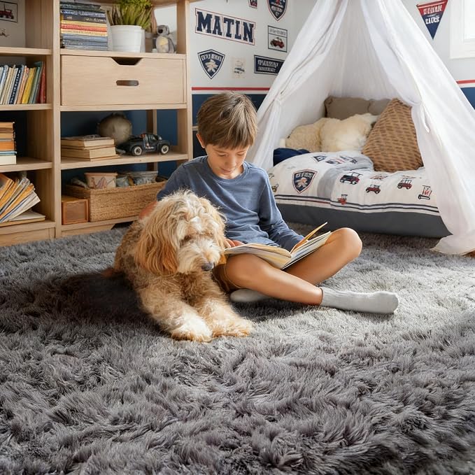PAGISOFE Plush Area Rugs for Living Room 6x9 Ft, Ultra Soft Shaggy Grey Rugs - Image 3