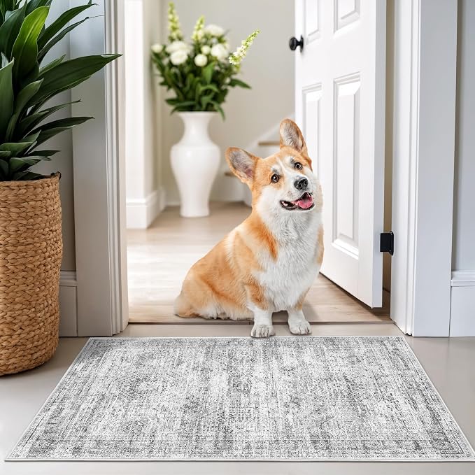 2x3 Washable Rug Runner for Bathroom, Soft Entryway Rug for Laundry Room by Restydon
