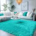 PAGISOFE Teal Rug Fluffy Shag Area Rugs by PAGISOFE