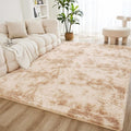 Litanika 3x5 Shag Area Rug for Living Room Bedroom, Tie-Dyed Beige High Pile by Litanika