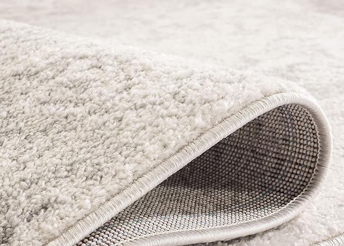 SAFAVIEH Adirondack Collection Accent Rug - Image 6