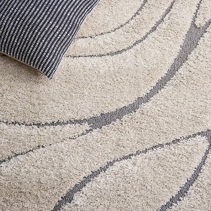 SAFAVIEH Area Rug 8x10 - Image 6