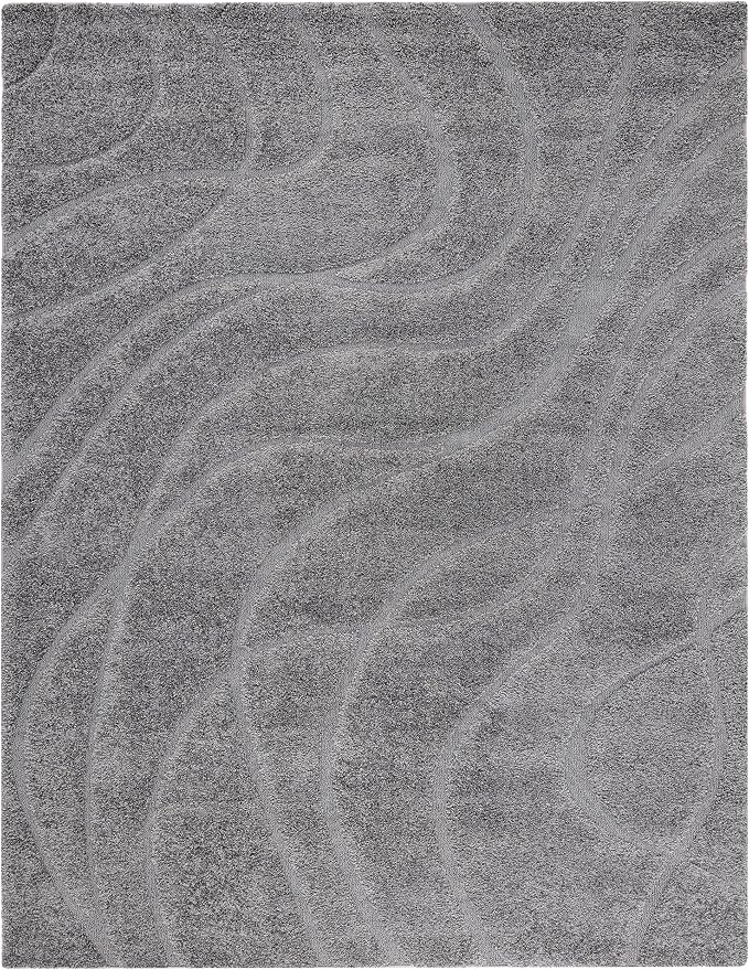 SAFAVIEH Florida Shag Collection Area Rug by Unknown