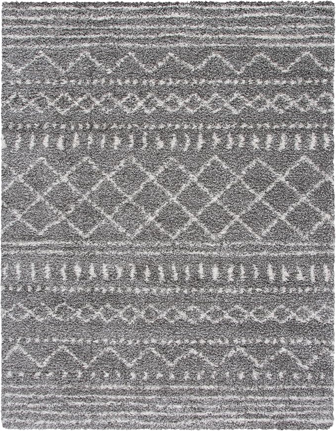 SAFAVIEH Area Rug 9x12 - Image 3
