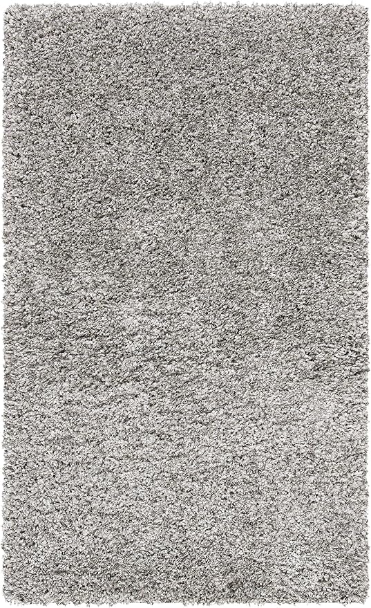SAFAVIEH Area Rug 4x6 - Image 4