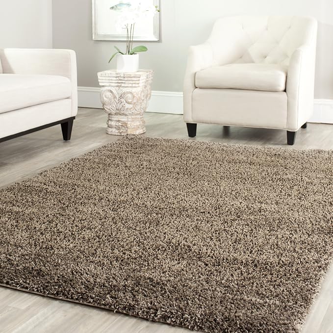 SAFAVIEH Area Rug 4x6 - Image 2